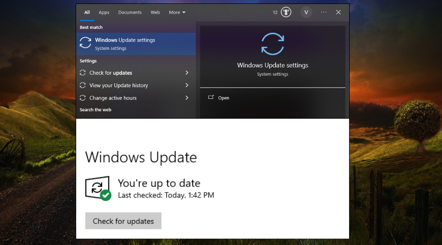 Boost Windows Update