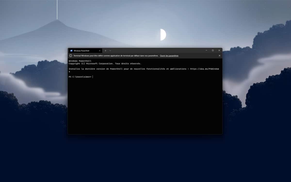 windows 11 terminal