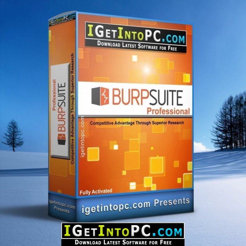 Burp Suite Professional 2024 Free Download