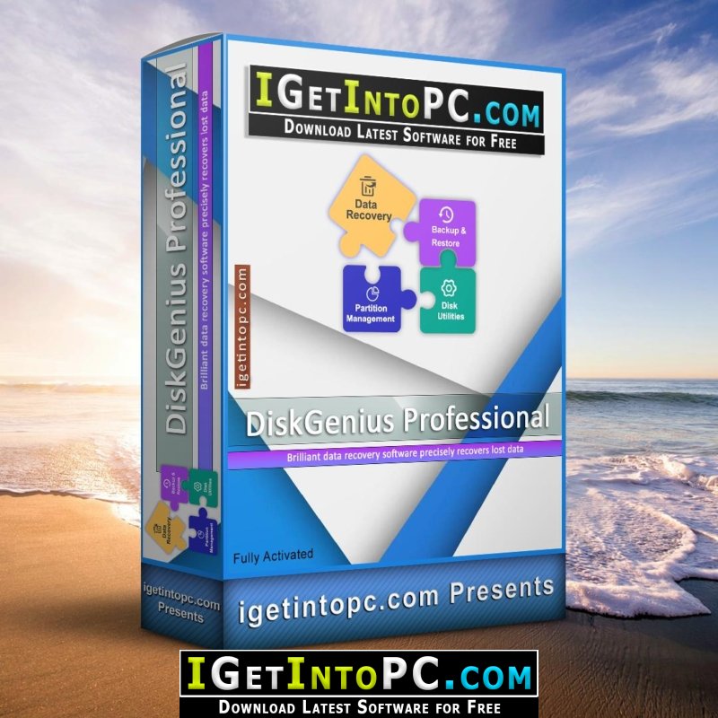 DiskGenius Professional 5 Free Download