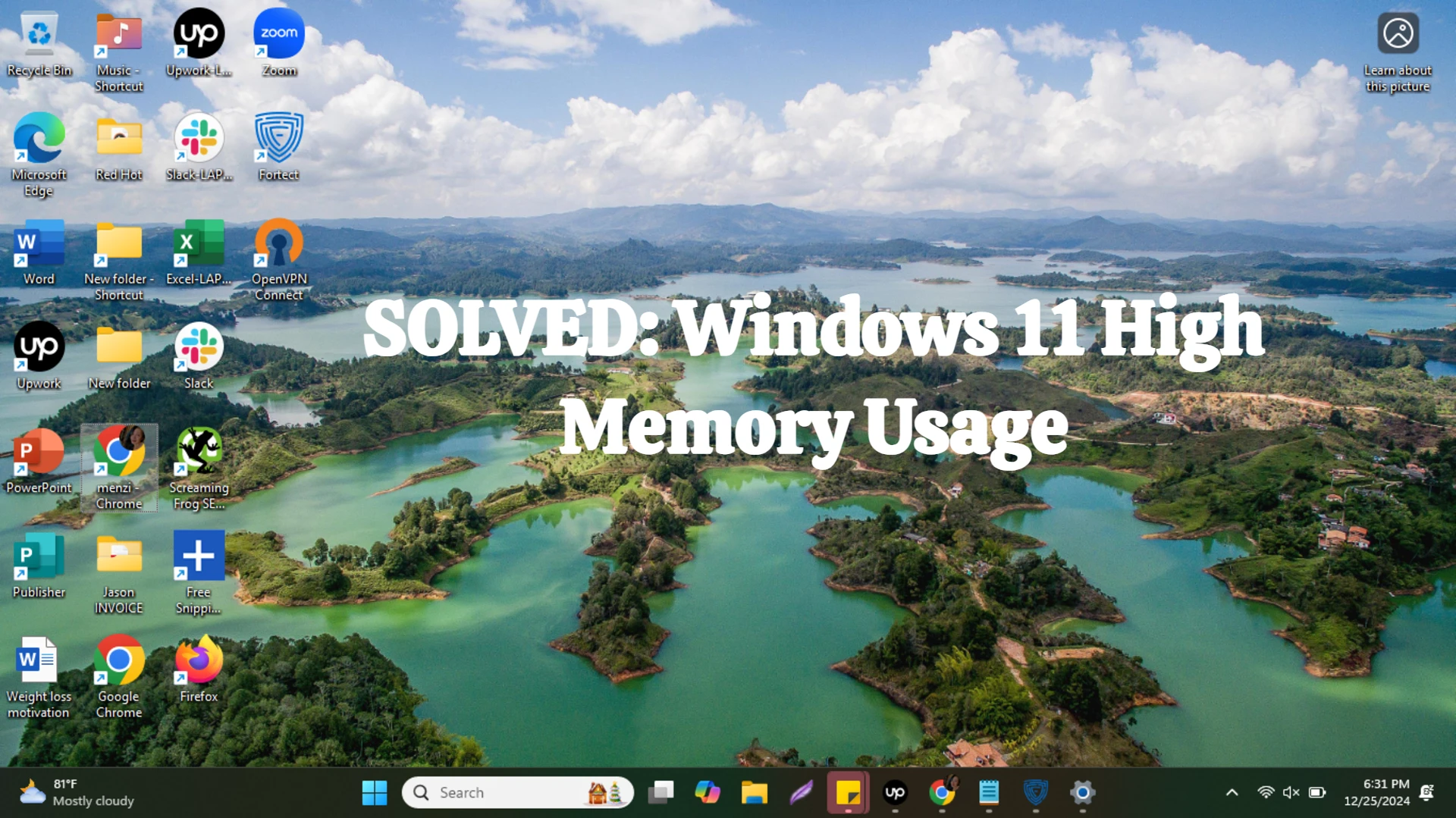 Best Ways to Fix Windows 11 High Memory Usage