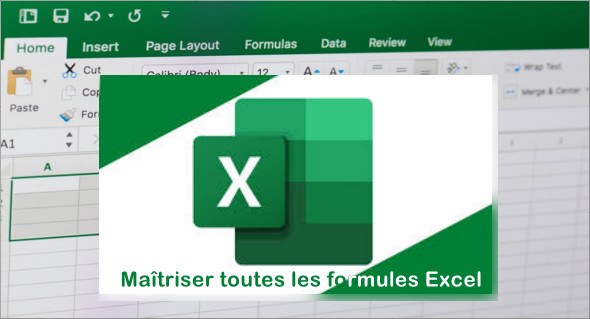 Excel training: master all Excel formulas